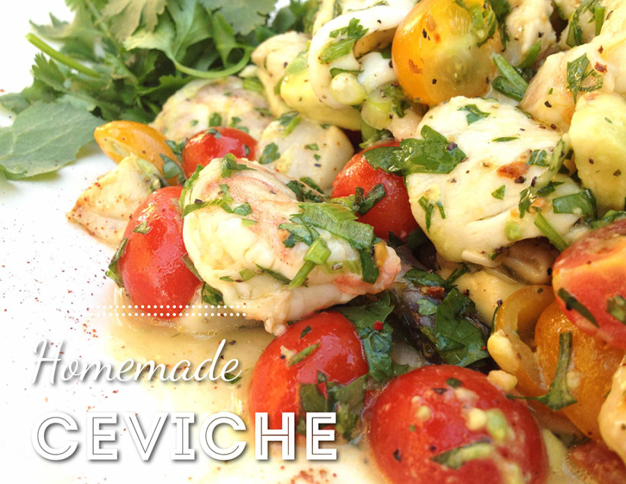 cookbook rough draft - 15-171