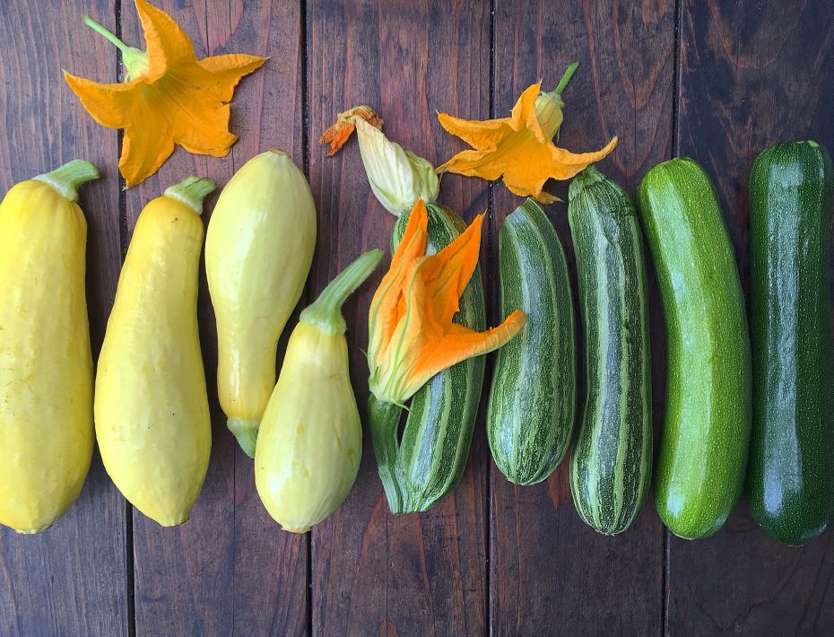 homegrown zucchini - raw zucchini bread