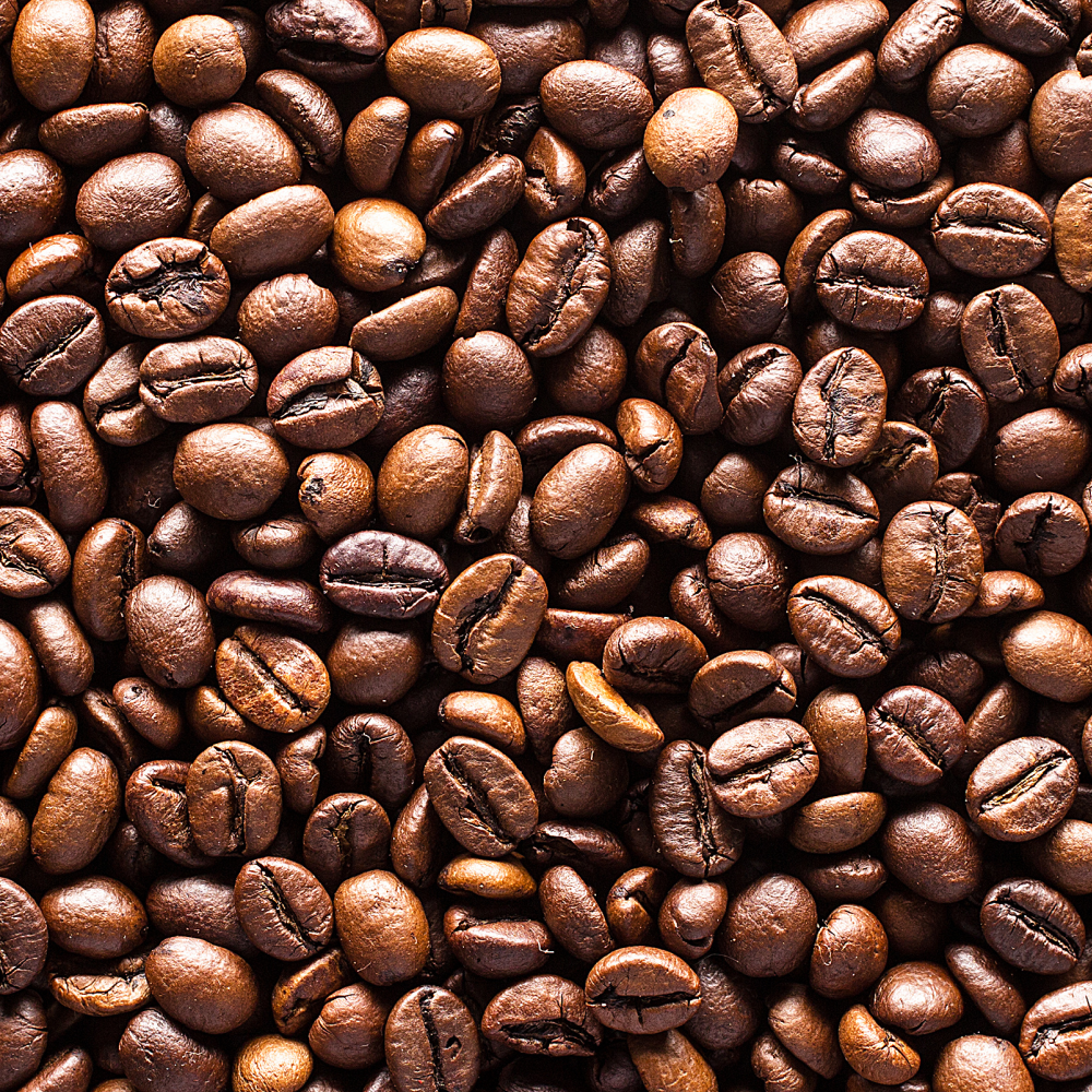 Premier Organic Coffee - Image 5