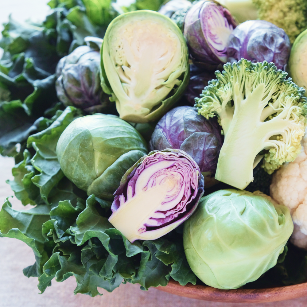 Estro Flavone™ - Image 6